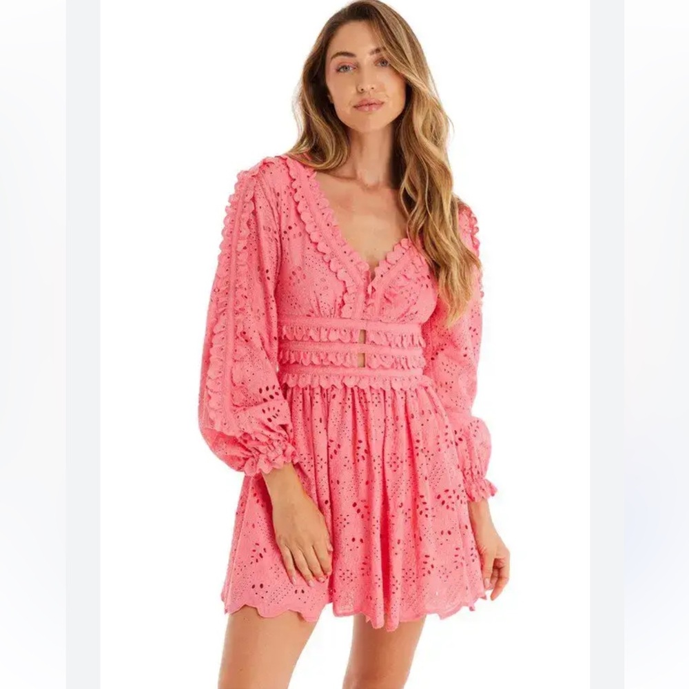 Allison New York Taylor pink v-neck eyelet long sleeve mini dress feminine